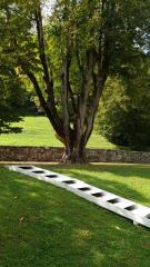 PHOTO-2020-09-07-08-58-42 2